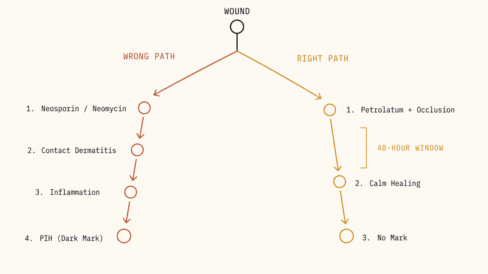 Two healing paths from one wound — neomycin to dark mark, versus petrolatum and occlusion to calm healing within the 48-hour window